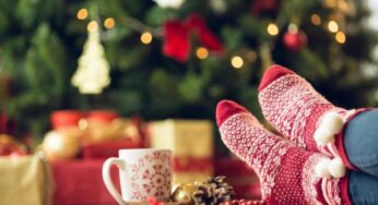 Rilassati sul divano vicino all’albero di Natale con il gatto: poco dopo l’assurda scoperta