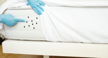 Il tuo letto potrebbe essere stracolmo di acari: ecco a quali sintomi devi fare attenzione