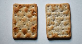 Piccoli buchi sulla superficie dei crackers: il motivo che nessuno poteva immaginare