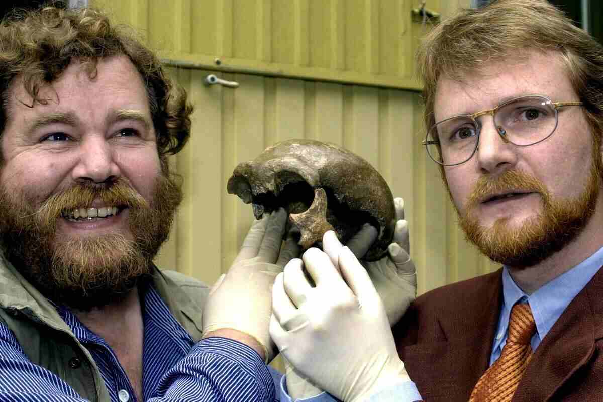 cranio di Neandertal