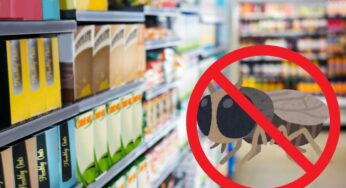 Mosche nel pan bauletto venduto al supermercato, guardate cosa ho trovato