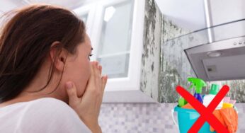 Muffa in casa, attenzione a cosa usi per eliminarla: i 2 prodotti da evitare a tutti i costi