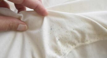 Odore di muffa nei vestiti? Il trucco dell’asciugatura rapida in lavatrice ti sconvolgerà la vita