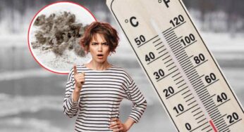 In inverno la polvere è un vero incubo, ma perché si forma così velocemente e come eliminarla? Parola agli esperti
