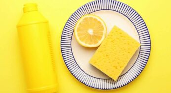 Ho messo una fetta di limone sulla spugna per piatti ed ho risolto un brutto problema: mia nonna non sbaglia mai