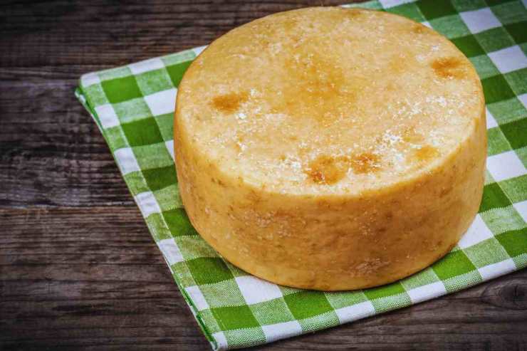 Formaggio