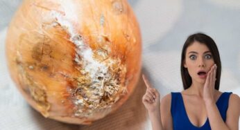 Compravo le cipolle, ma marcivano sempre: con questo trucco ho risolto ogni cosa e durano più di 6 mesi