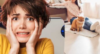 Deumidificatore in casa, attenzione a quello che fai: questi errori sono rischiosissimi
