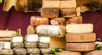 Questo formaggio costa oltre i mille Euro al Kg: l’ho assaggiato e ho capito il motivo