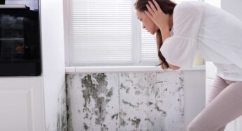 Ero convinto di cambiare aria in casa e invece ho permesso la formazione della muffa: che errore tremendo