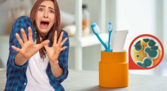 Muffa sul portaspazzolino, sottovalutarla è pericolosissimo: come eliminarla in poche mosse