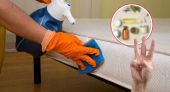 Mi è bastato mescolare questi 3 ingredienti per ottenere un materasso pulito ed igienizzato: ora si che dormo sereno