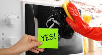 Tutti pensano a pulire l’interno del microonde ma in pochi si concentrano sulla porta: io faccio così e torna perfetta