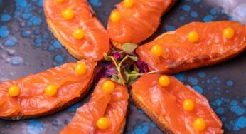 Allerta salmone affumicato, pesci vittime di malattie: l’industria è fuori controllo
