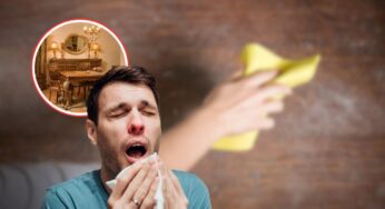 Ho scoperto perché la mia allergia alla polvere è peggiorata: ho eliminato questi mobili e ora va molto meglio